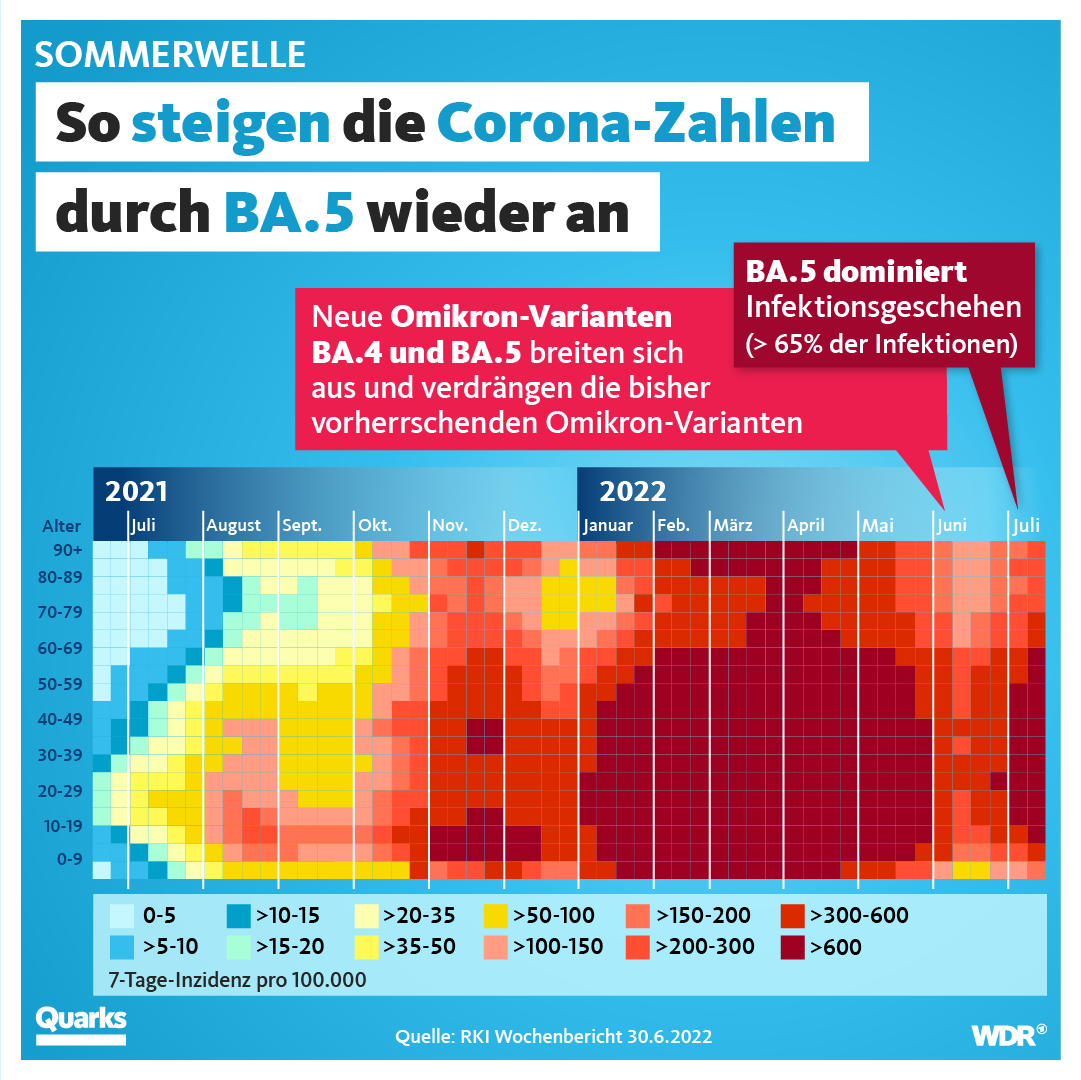 So steigen die Corona-Zahlen durch BA.5 wieder an