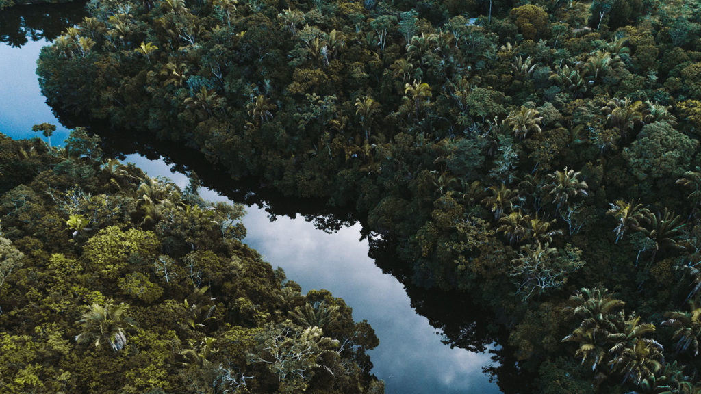 Regenwald in Brasilien von oben, mittig fließt ein Fluss