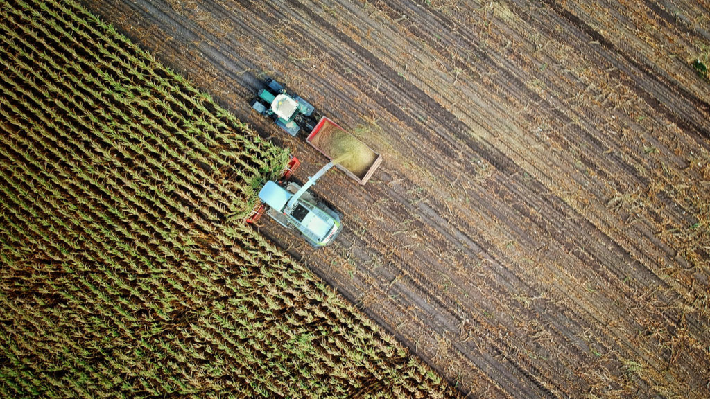 Feld von oben