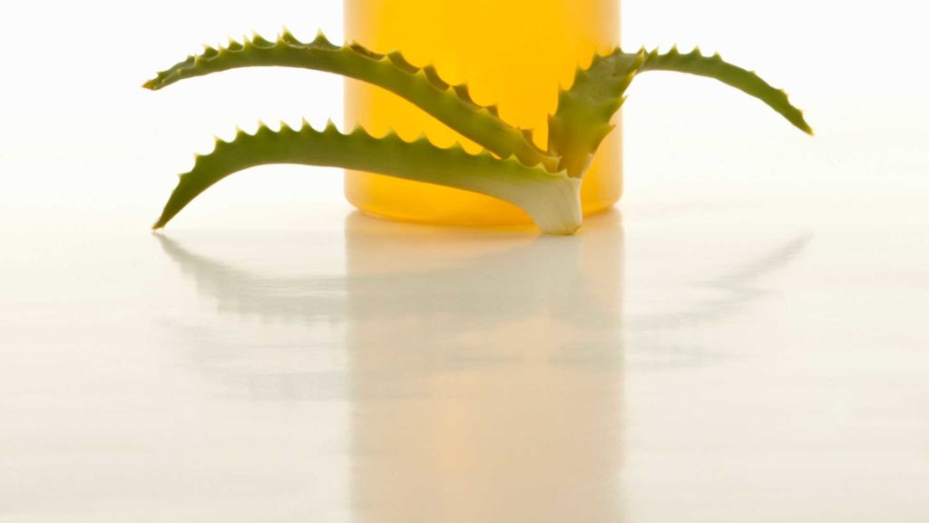 Agavenblatt vor Agavendicksaft.