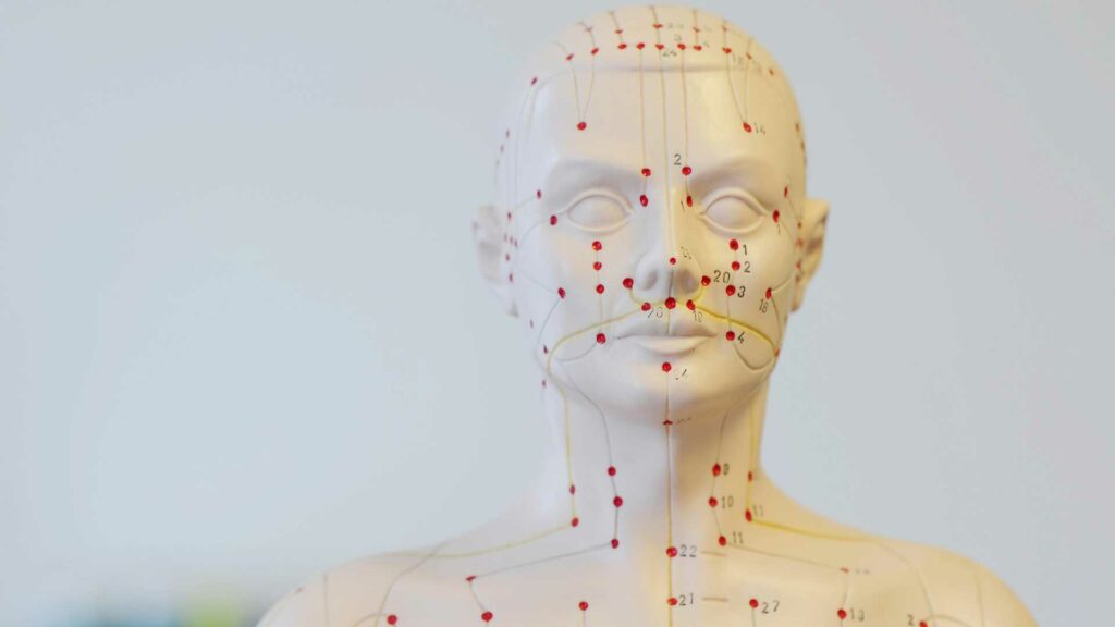 Die Abkürzung TCM steht für Traditionelle Chinesische Medizin.Dazu gehören die fünf Säulen Akupunktur, Qigong (Atem- und Bewegungsübungen), Tuina (manuelle Therapie), chinesische Arzneimitteltherapie sowie die “Diätetik“.