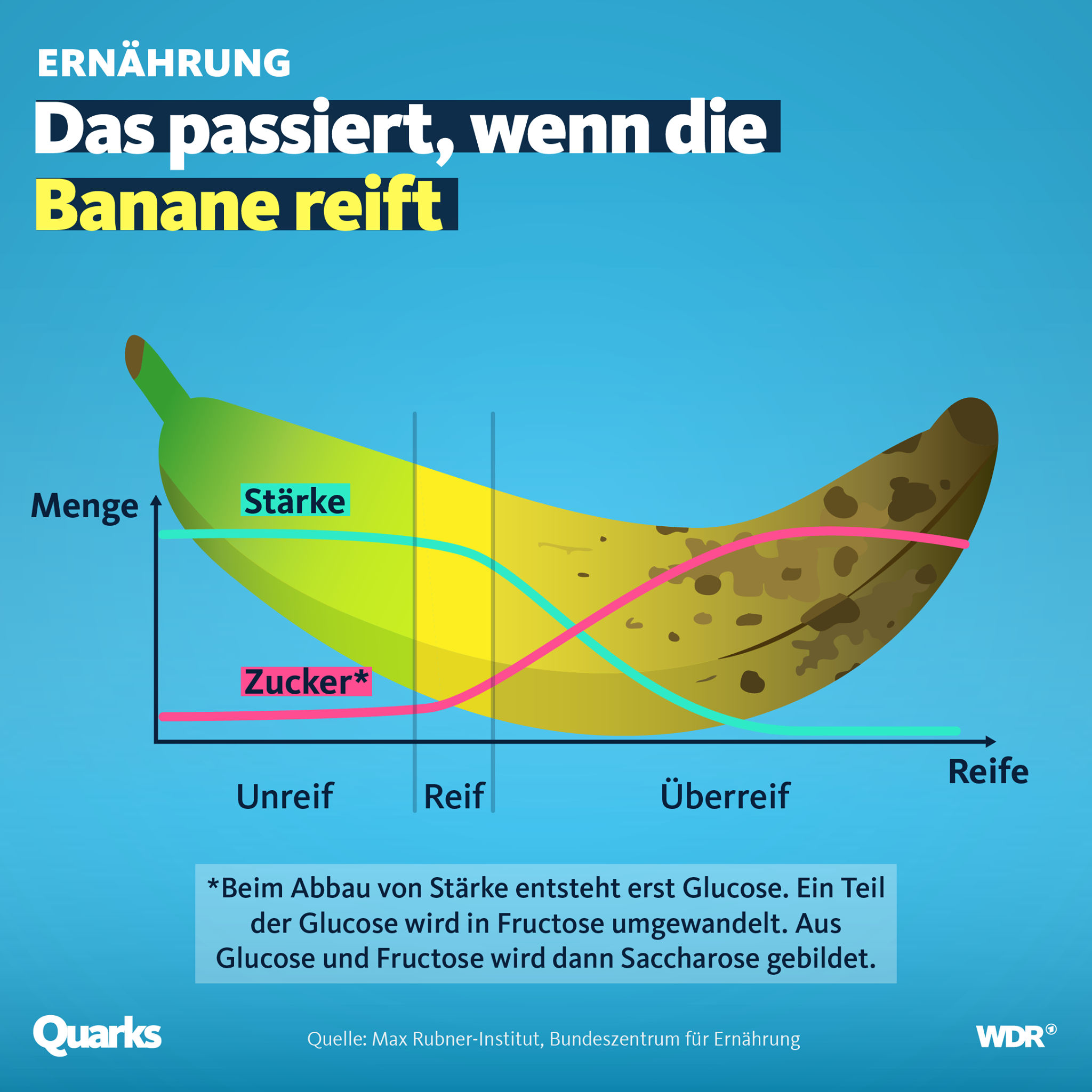 Bananengrafik mit dem Titel: Das passiert, wenn eine Banane reift