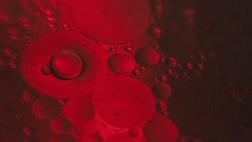 Blut.