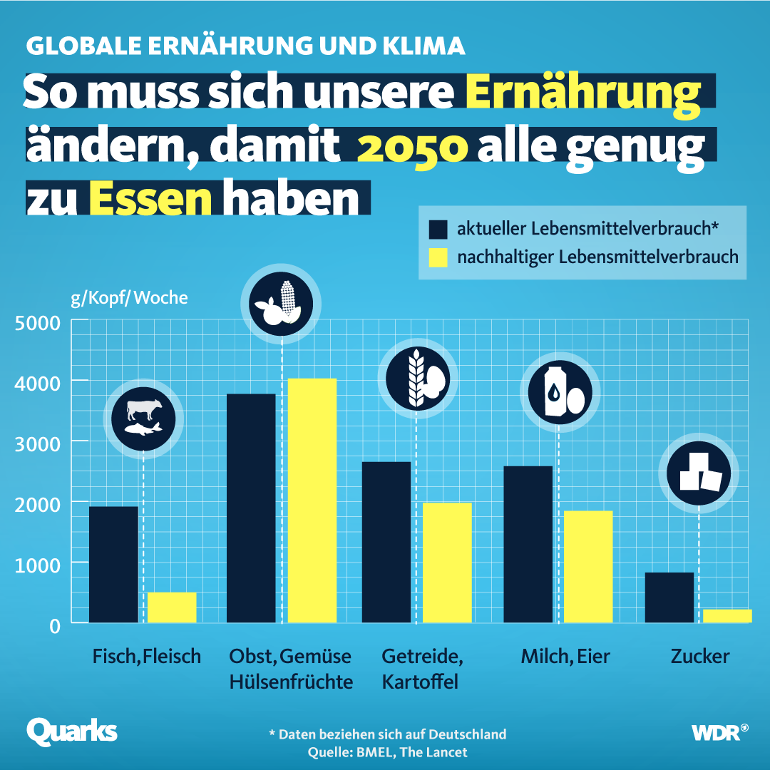 Grafik mit Balkendiagramm