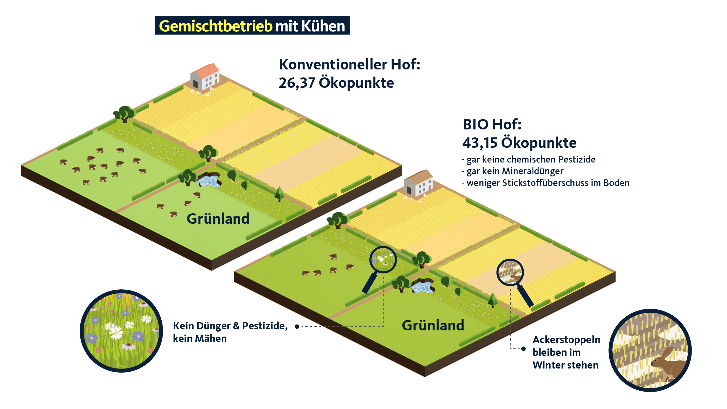 Gemischtbetrieb mit Kühen Vergleich eines Bio-Hofs mit einem konventionellen Hof