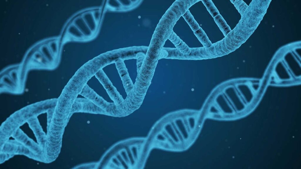 Doppelhelix der DNS