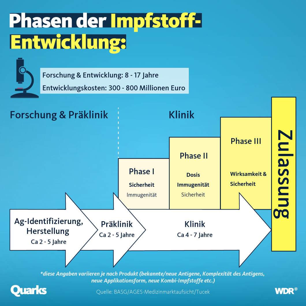 Grafiktafel Phasen der Impfstoffentwicklung