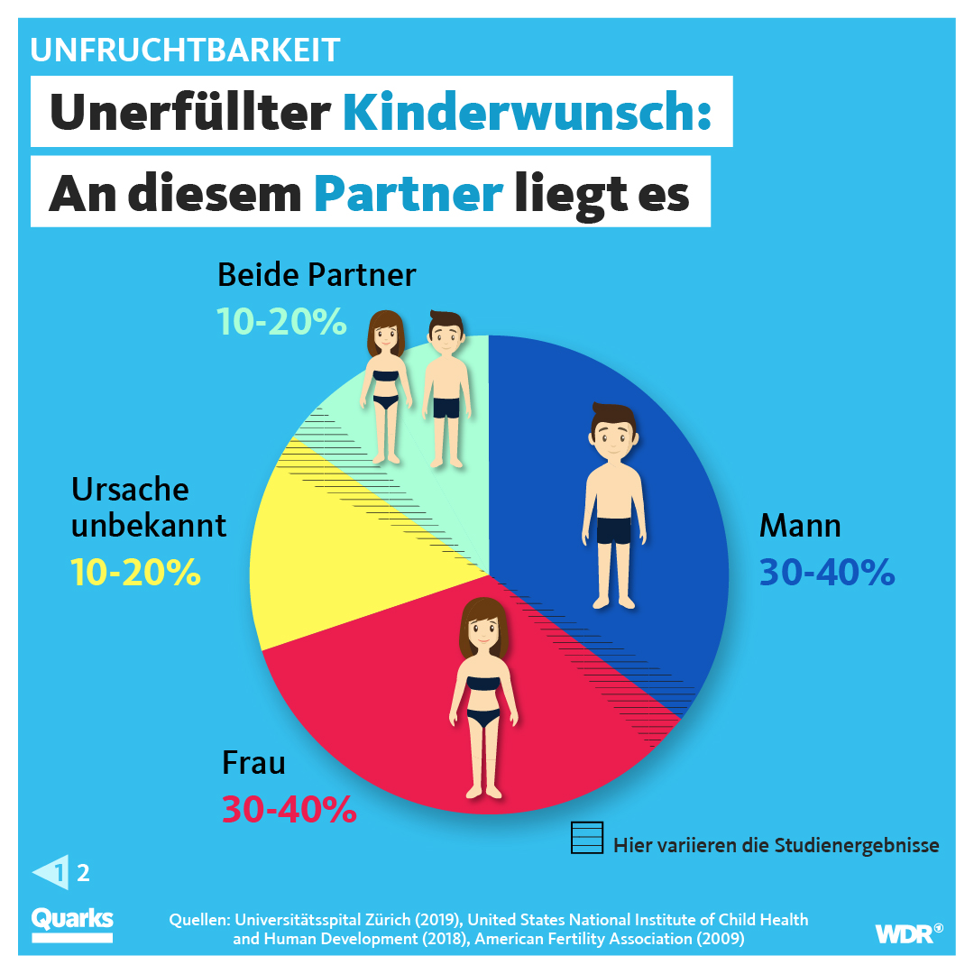 Unerfüllter Kinderwunsch - an diesem Partner liegt es