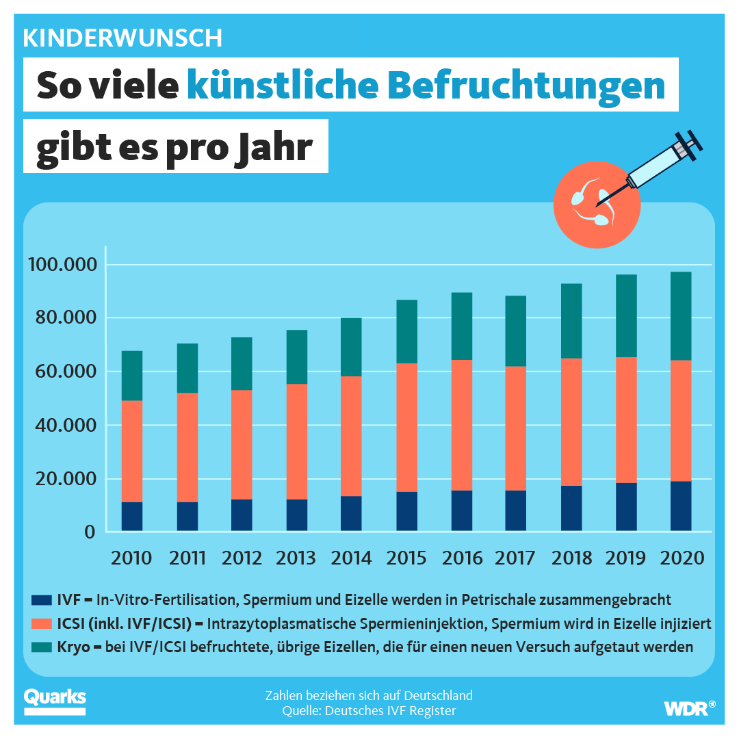 So viele künstliche Befruchtungen gibt es pro Jahr