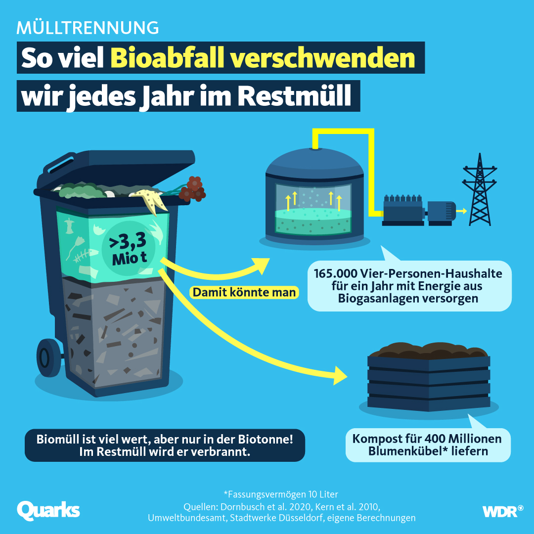 So viel Bioabfall verschwenden wir jedes Jahr im Restmüll