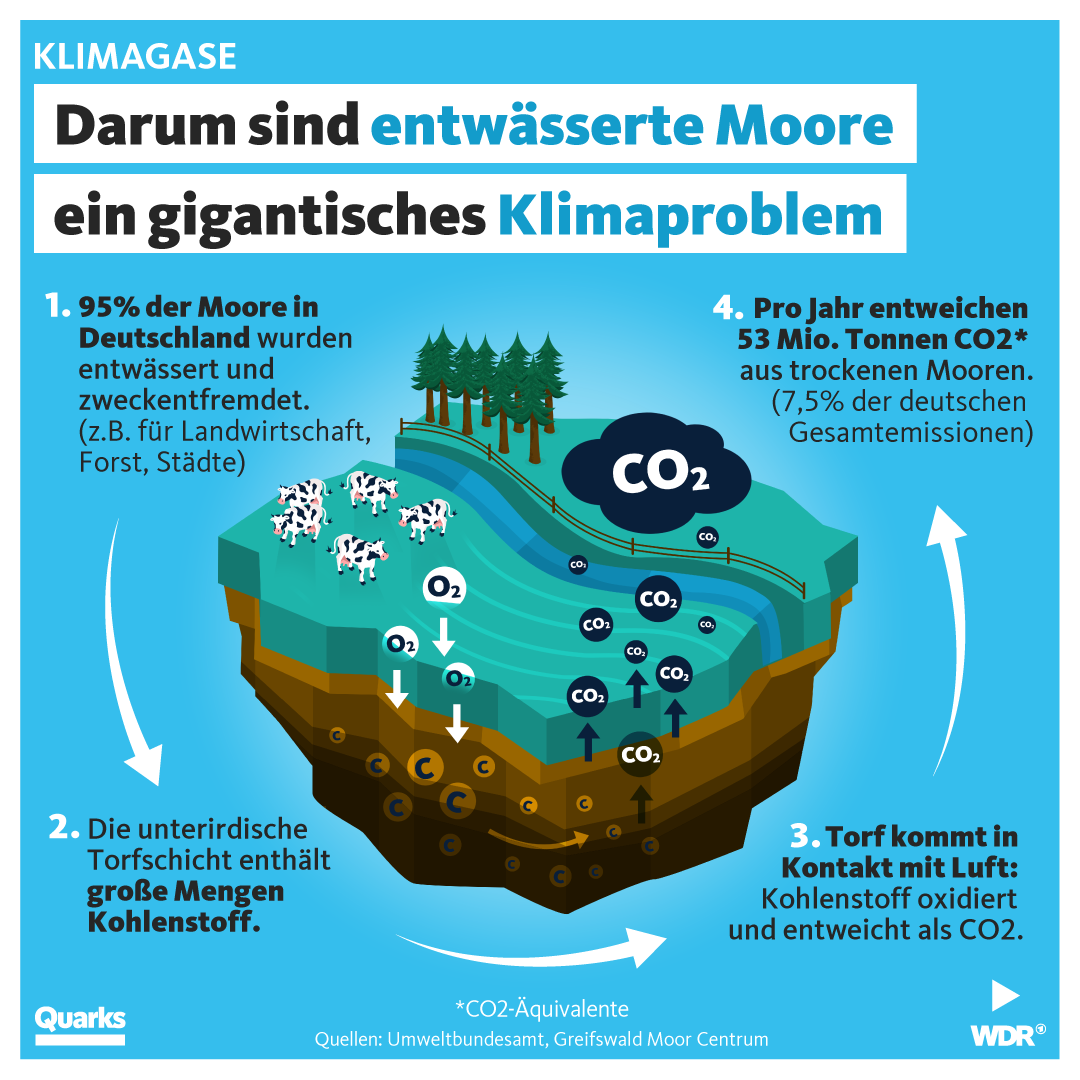 Darum sind entwässerte Moore ein gigantisches Klimaproblem