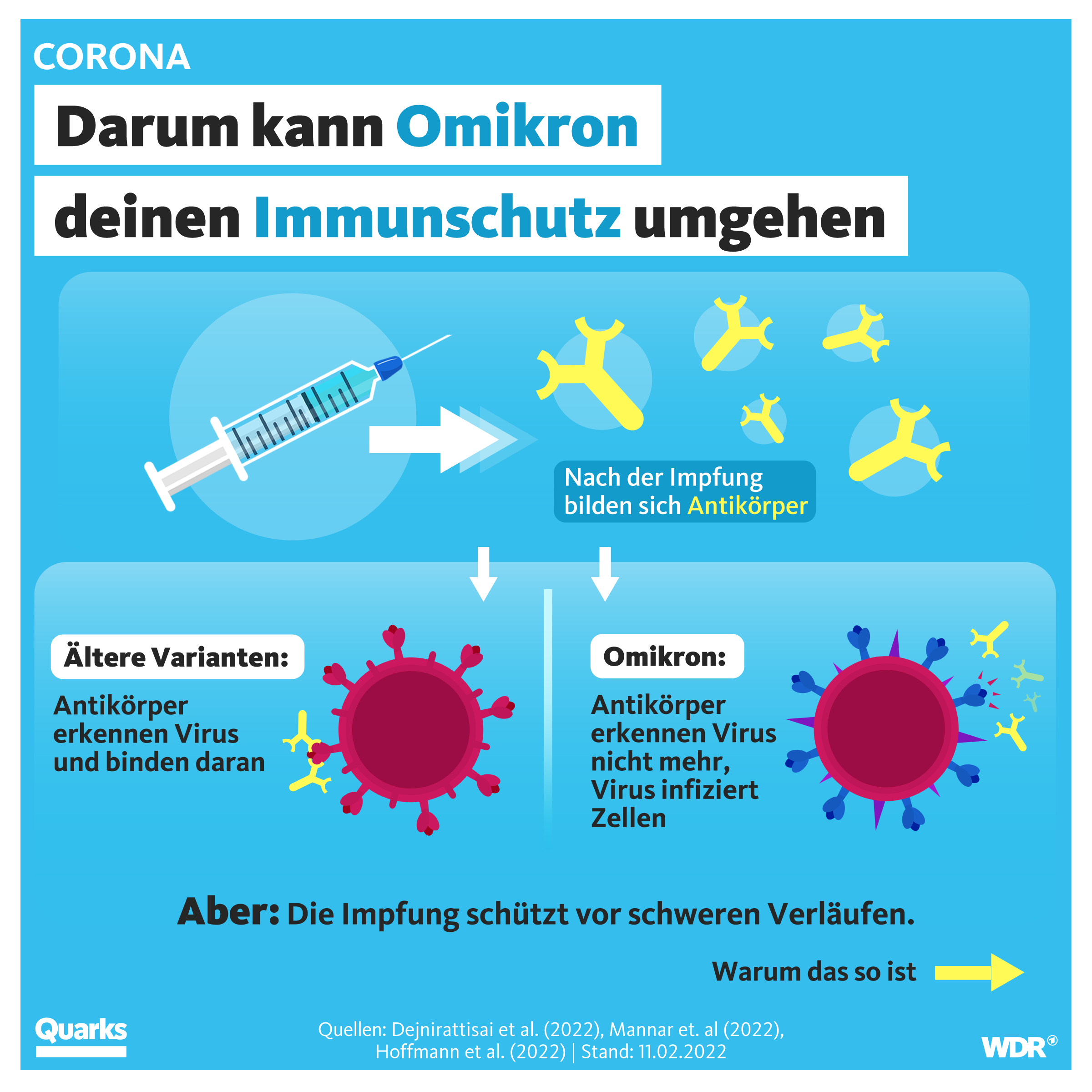 Darum kann Omikron deinen Immunschutz umgehen