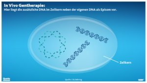 In-Vivo In Vivo Gentherapie: Hier liegt die zusätzliche DNA im Zellkern neben der eigenen DNA als Episom, vor.