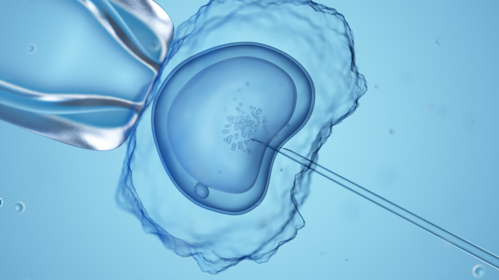 In Vitro Fertilisation, Computer-Illustration. Foto: WDR / mauritius images / Science Photo Library