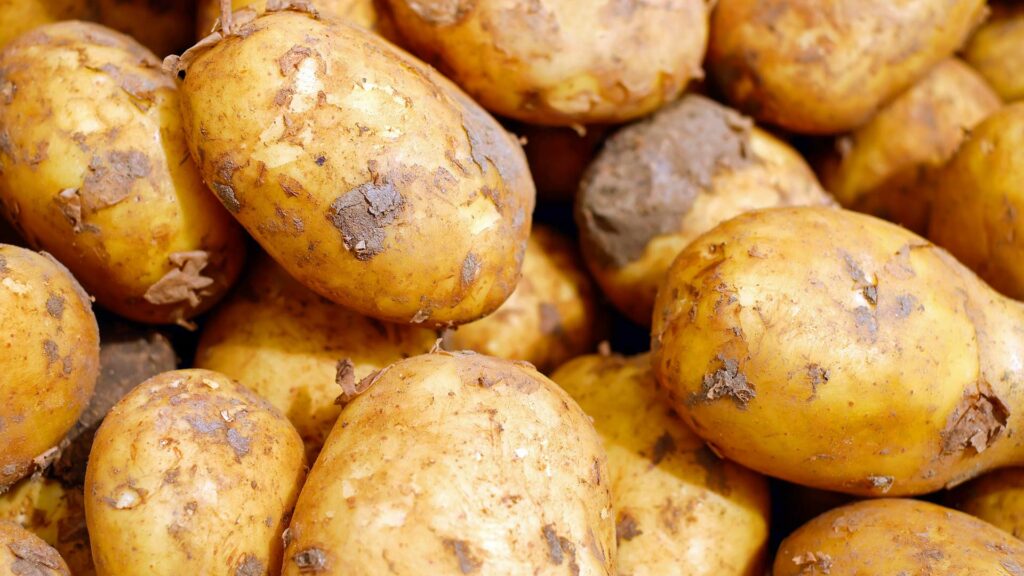 Ein Haufen Kartoffeln