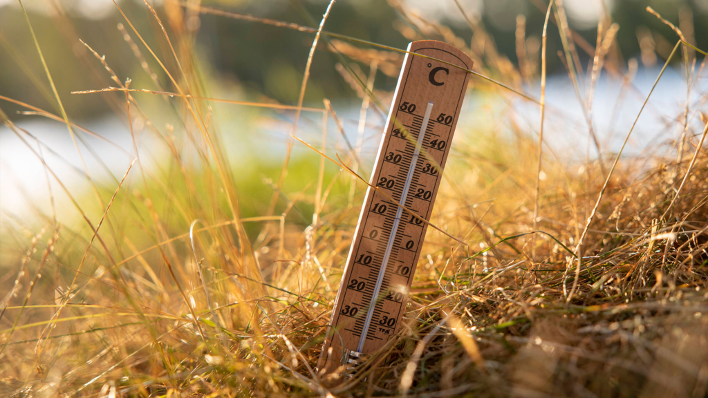 Ein Holzthermometer zwischen trockenem Gras.