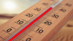 Ein Thermometer zeigt eine Temperatur von fast 40 Grad Celsius an.