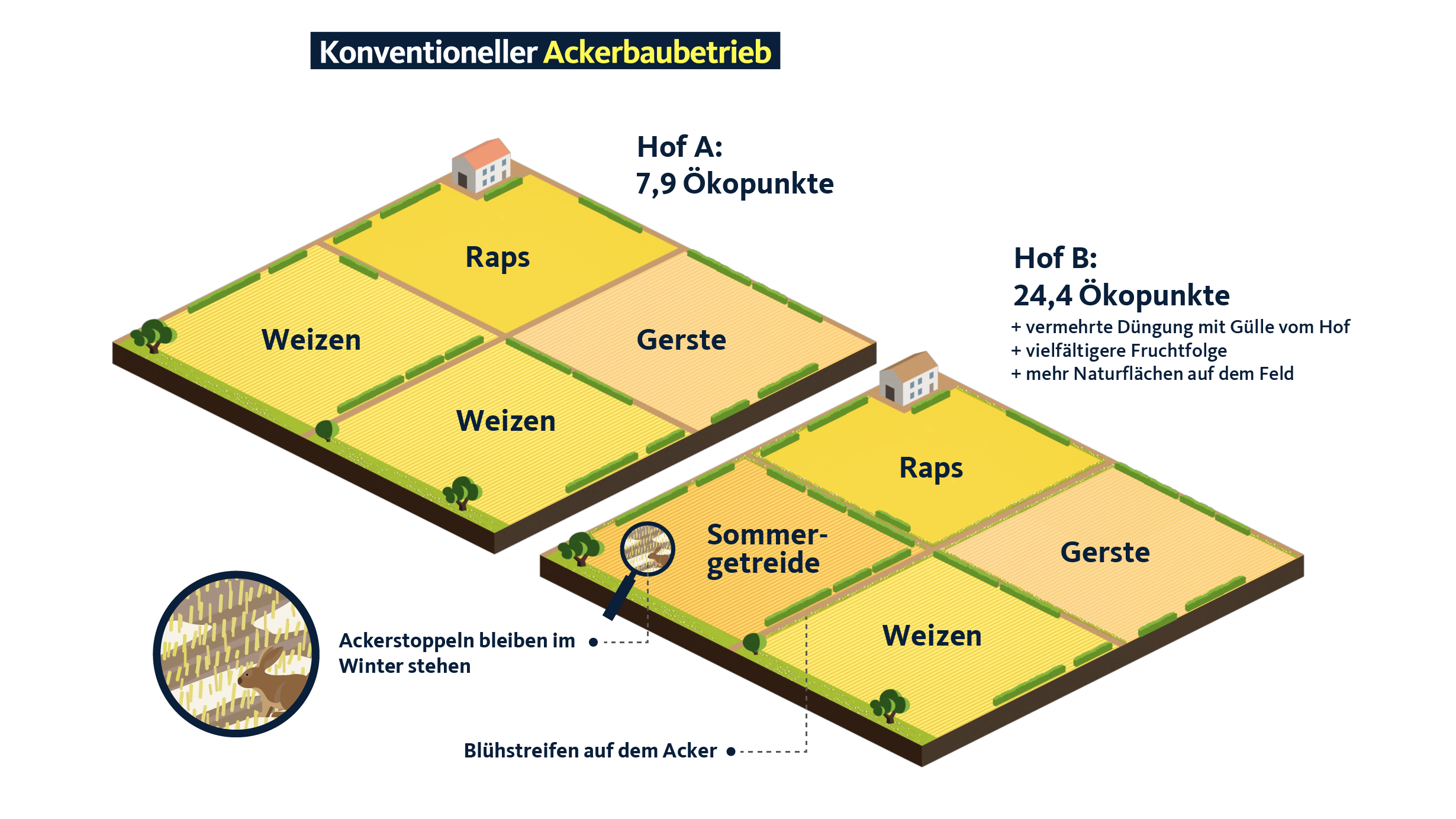 Konventioneller Ackerbaubetrieb Grafik Konverntioneller Ackerbau.