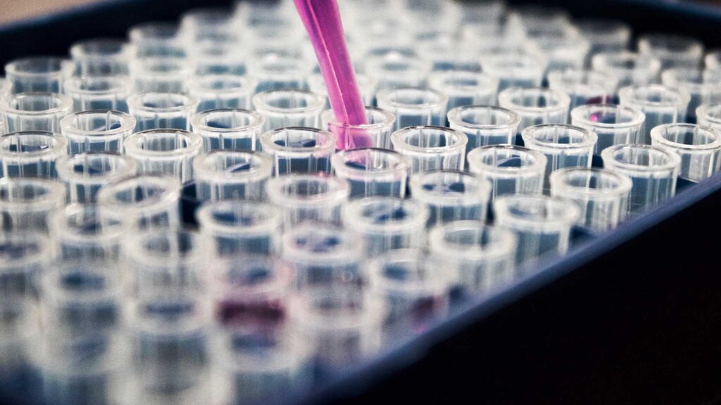 Eine lila Pipette füllt kleine Reagenzgläser