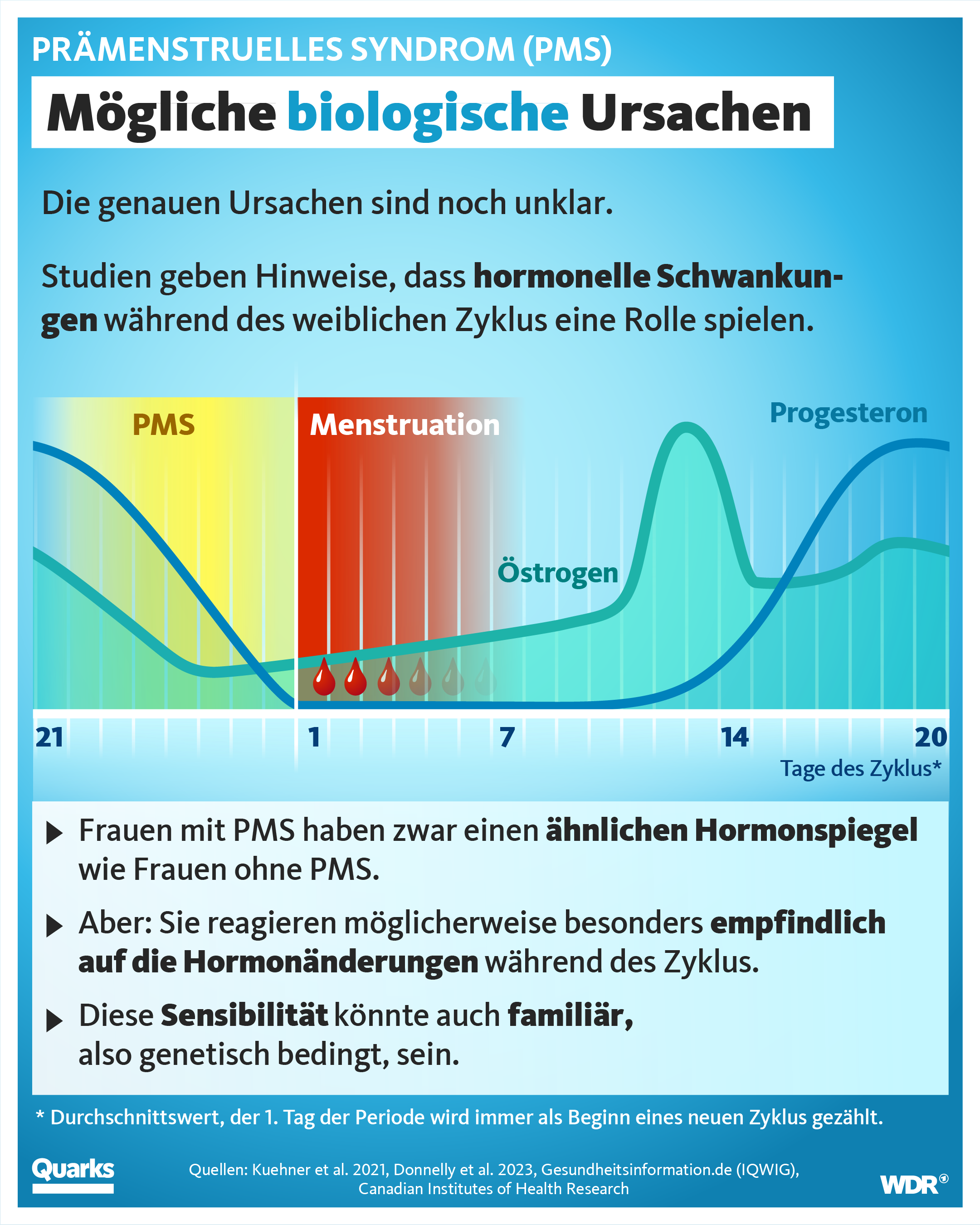 Grafik zu "Mögliche biologische Ursachen PMS"