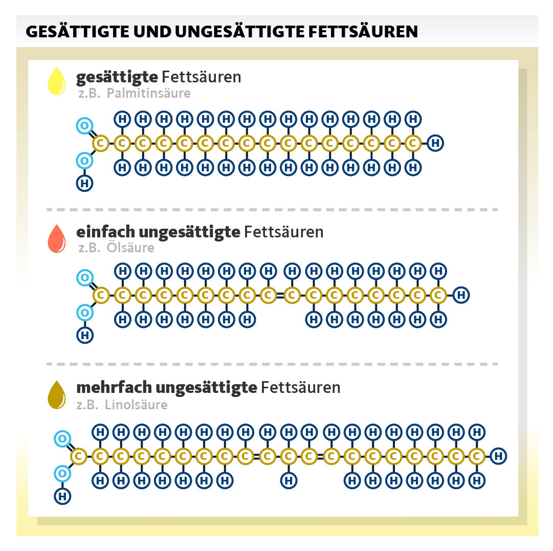 Grafik zeigt den Unterschied zwischen gesättigten, einfach ungesättigten und mehrfach ungesättigten Fettsäuren. Gesättigte Fettsäuren haben keine Doppelbindung, ungesättigte eine oder mehrere.