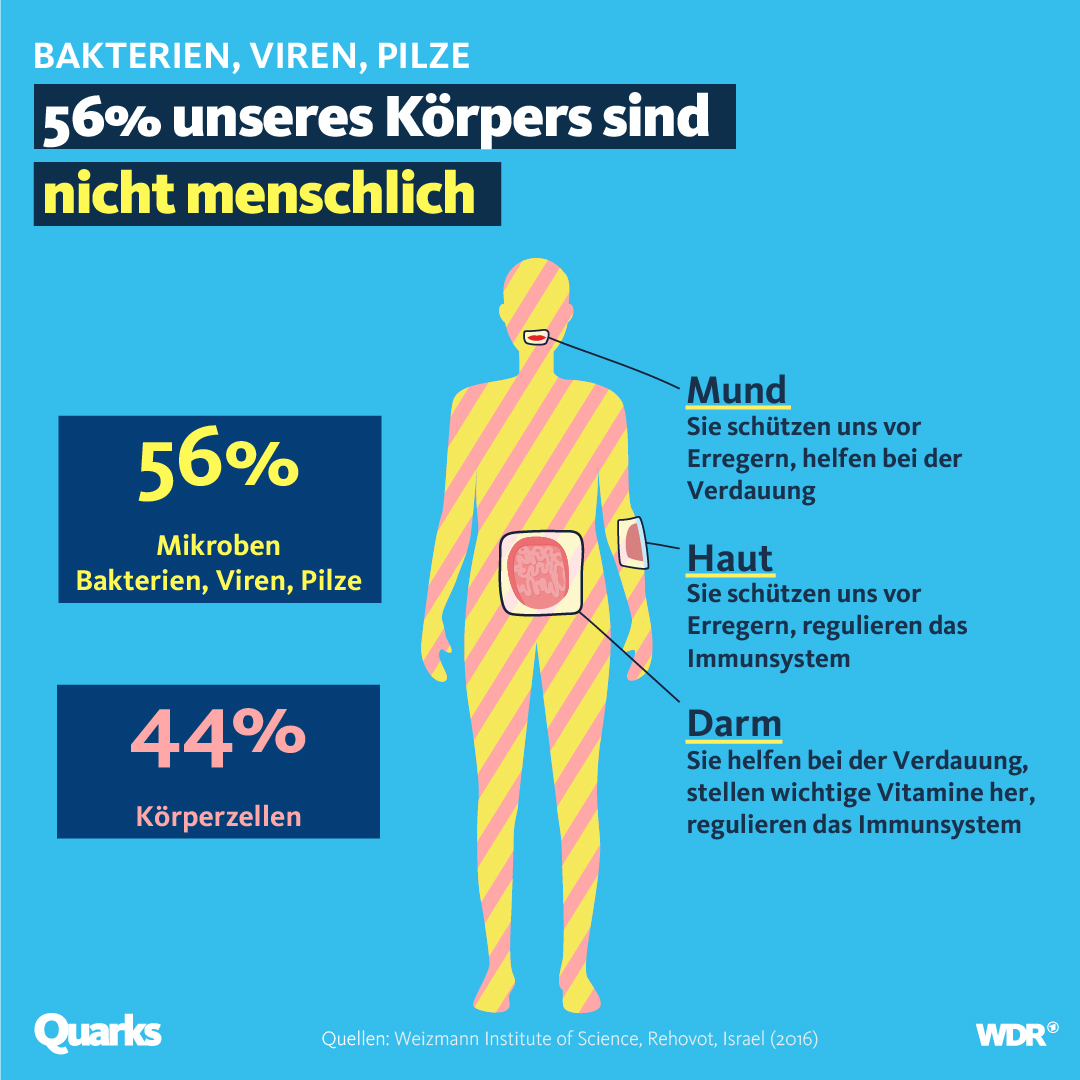 Grafik zum Mikrobiom