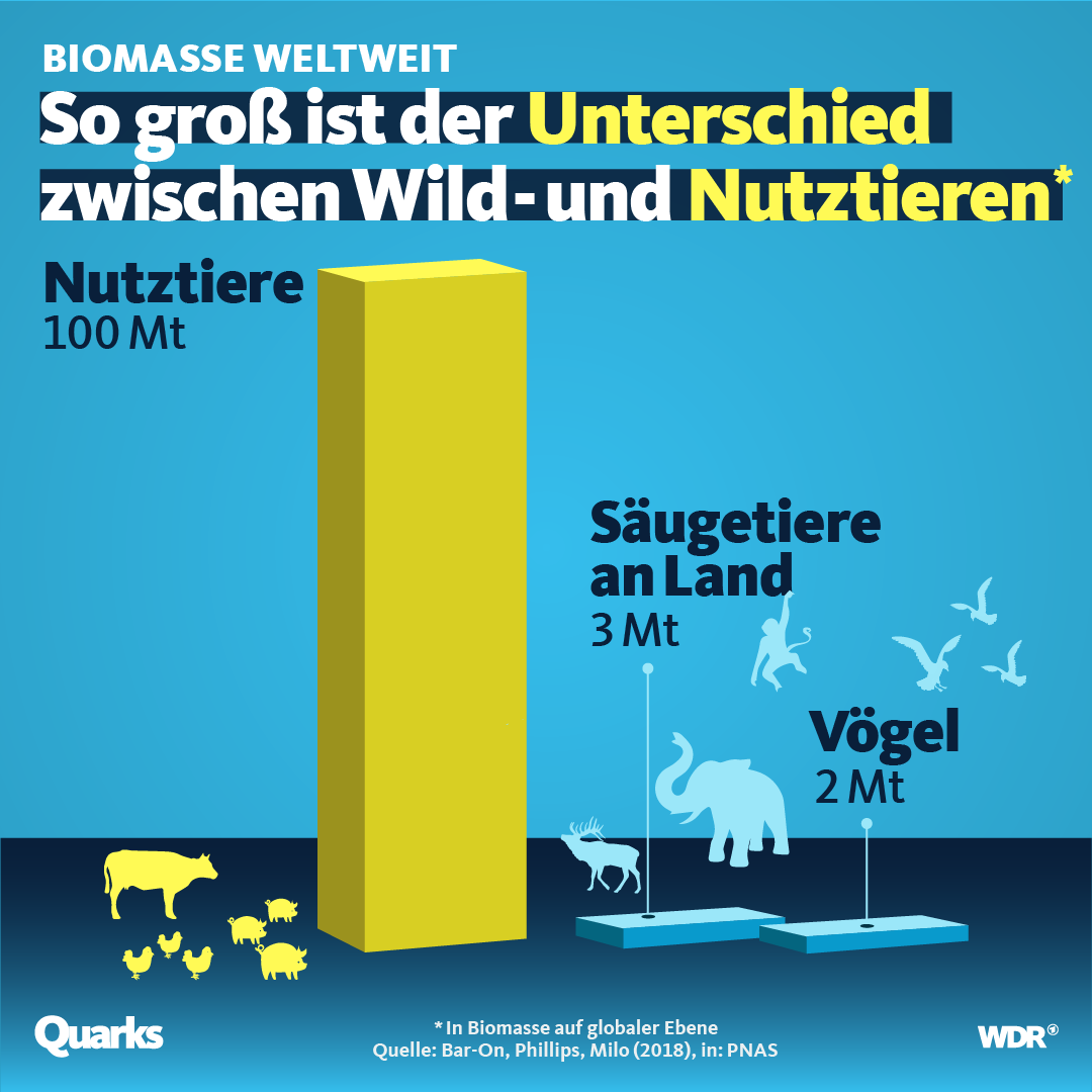 Grafik zu Nutz- und Wildtierbeständen.