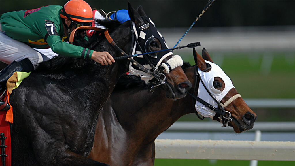 Das Bild zeigt zwei Rennpferde mit ihren Jockeys in einem spannenden Pferderennen. Beide Pferde tragen spezielle Masken, die ihre Augen teilweise abdecken. Die Szene spielt sich auf einer Rennbahn mit grünem Rasen im Hintergrund ab, und die Intensität des Rennens ist deutlich an den angespannten Körpern der Pferde und den konzentrierten Jockeys zu erkennen.