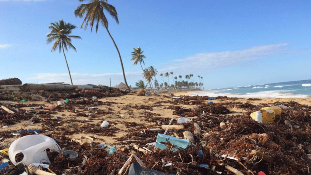Plastik am Strand