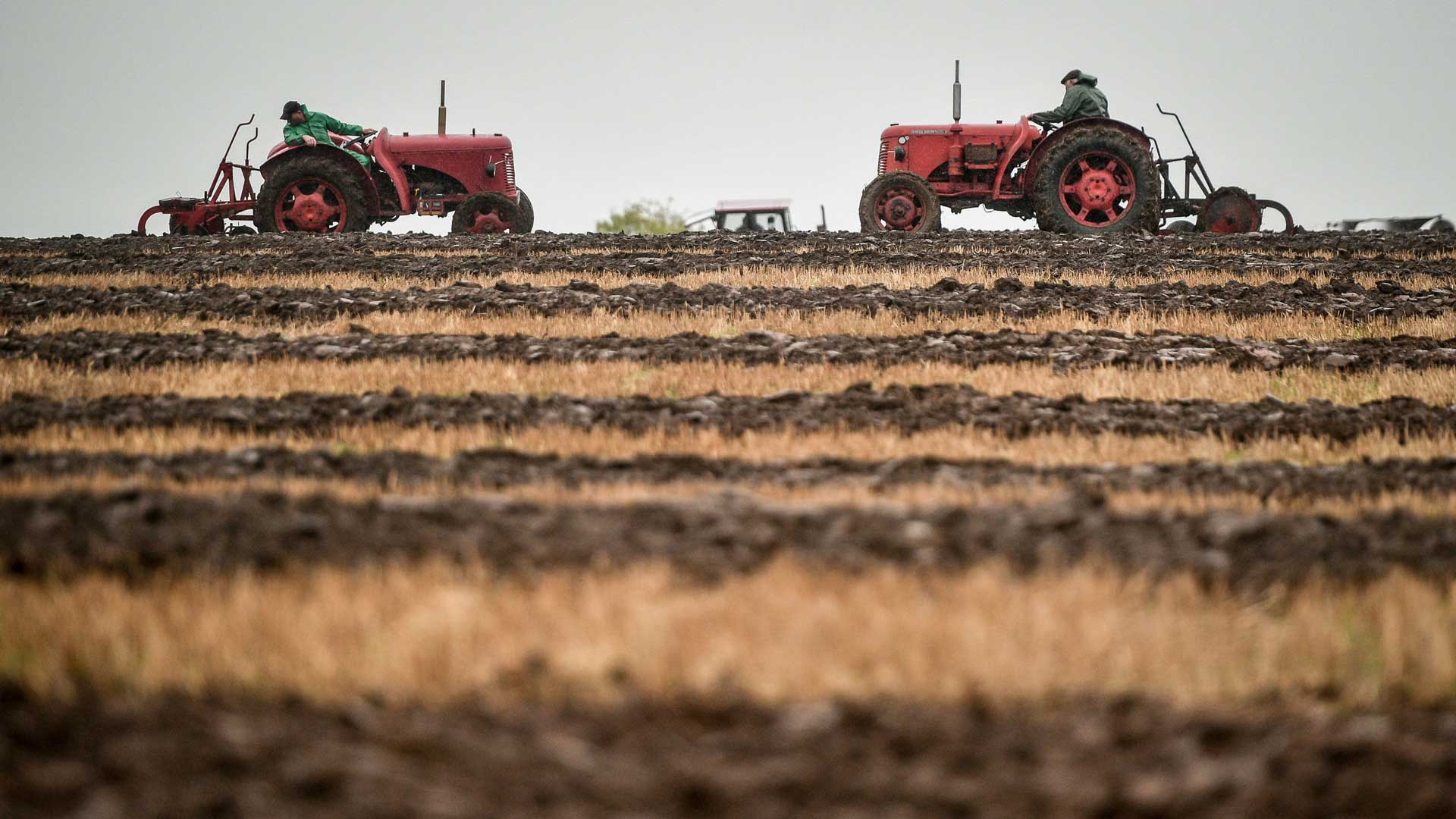 Landwirtschaft Übersicht - quarks.de