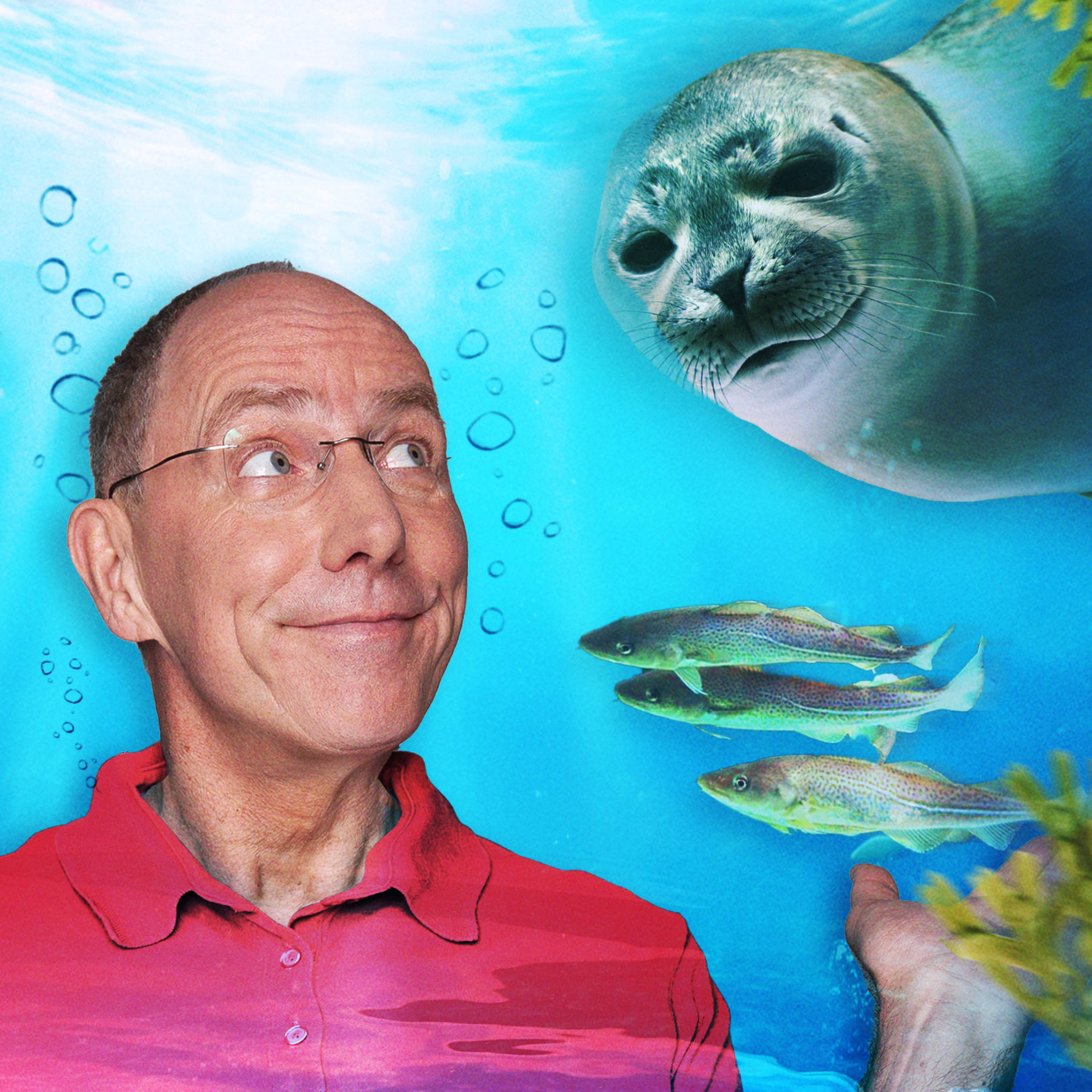 Montage: Thomas Ranft mit Meerestieren