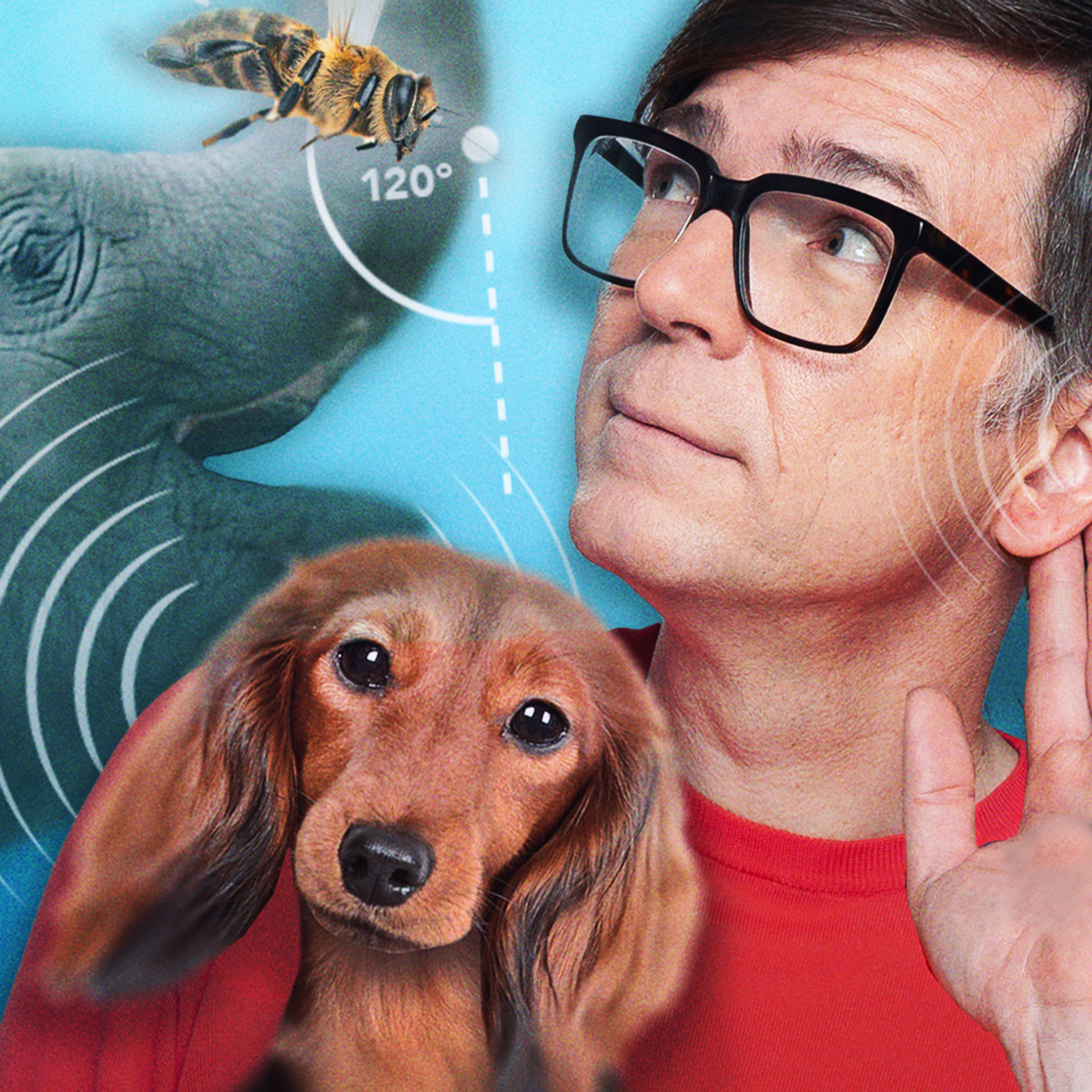 Montage: Ralph Caspers umringt von Tieren