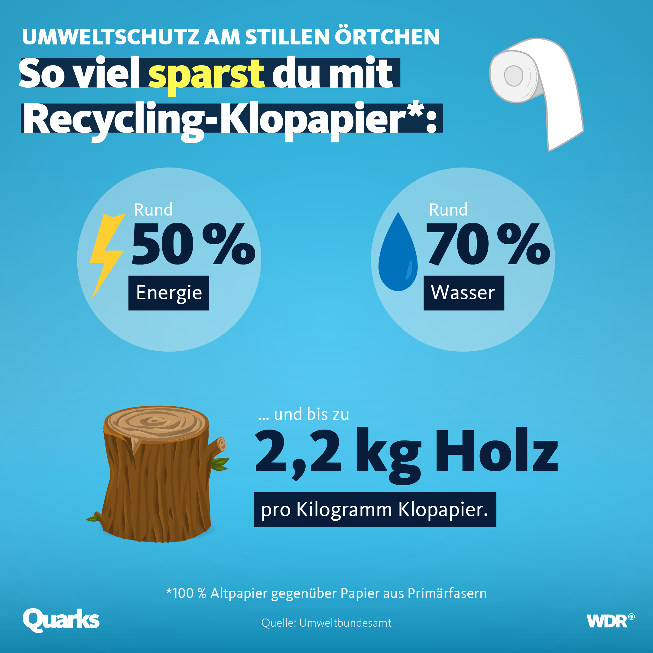 So viel sparst du mit Recycling-Klopapier