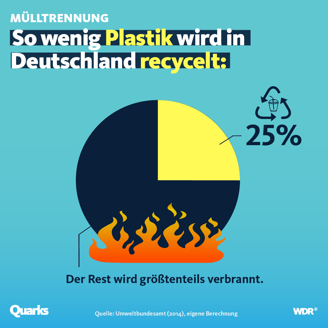 Wie Viel Plastik Wird Recycelt
