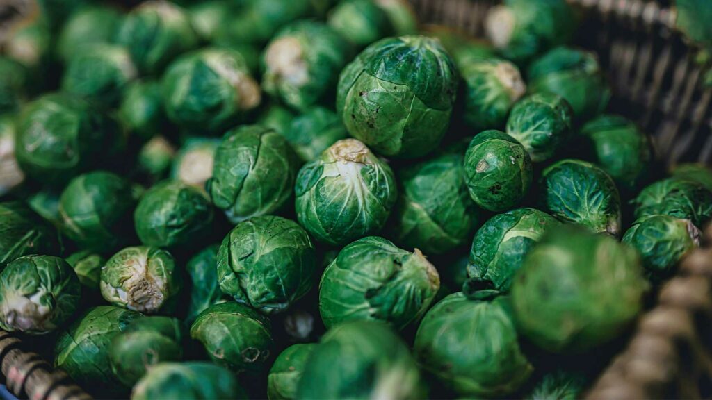 Rosenkohl