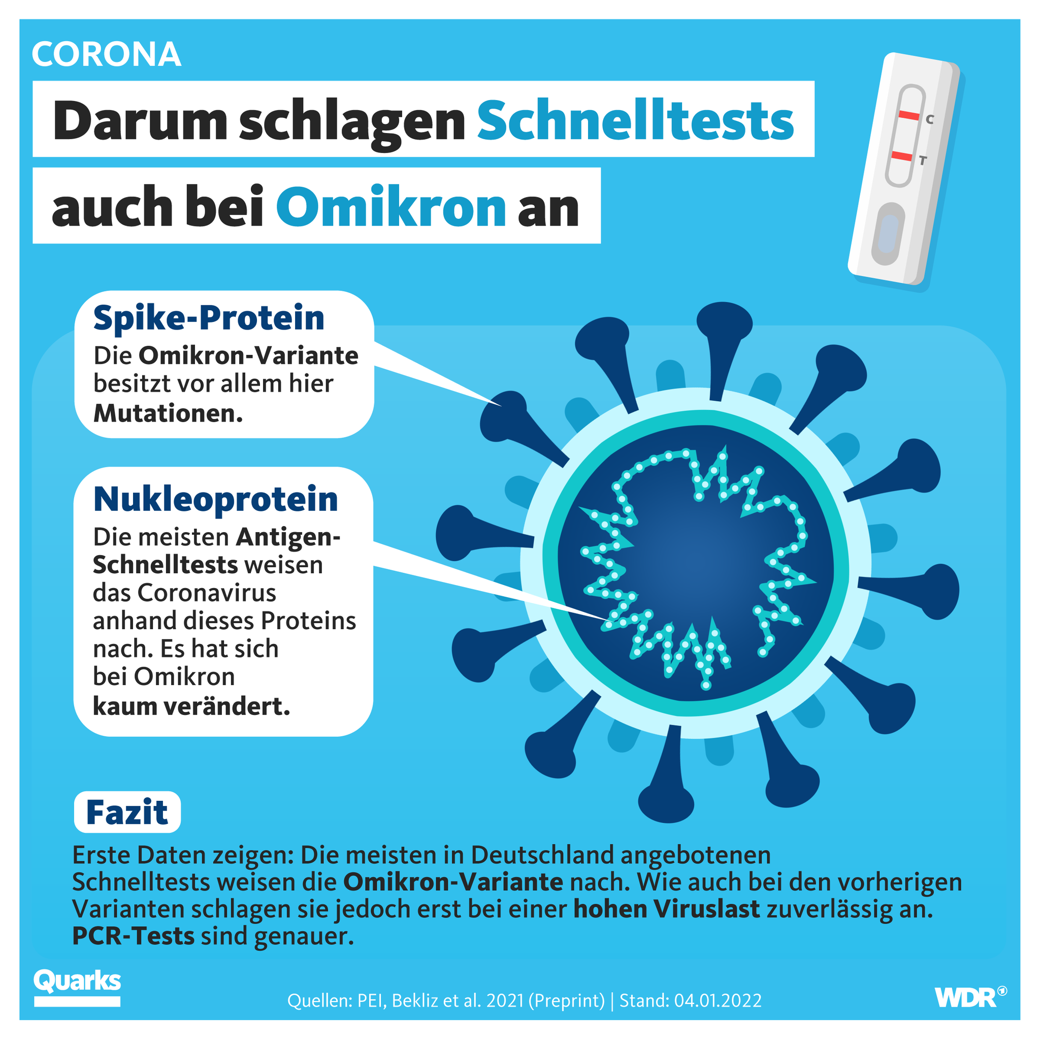 Darum schlagen Schnelltests auch bei Omikron an