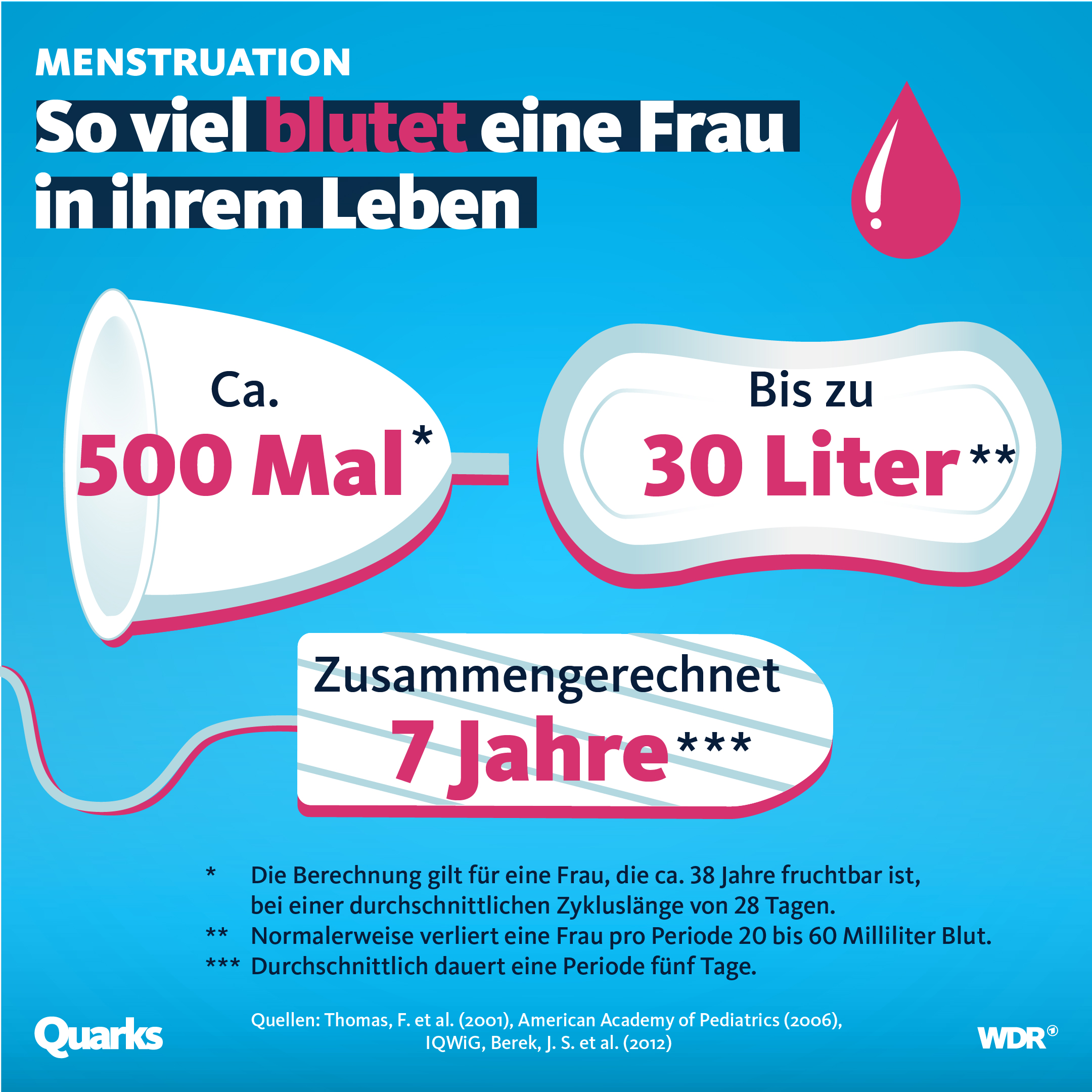 Zyklus regel frau Menstruationszyklus