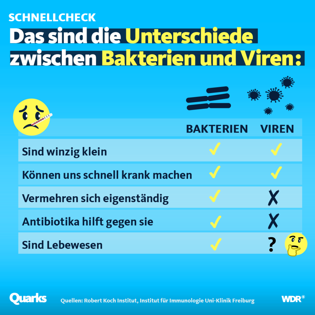 Der Unterschied zwischen Bakterien und Viren quarks.de