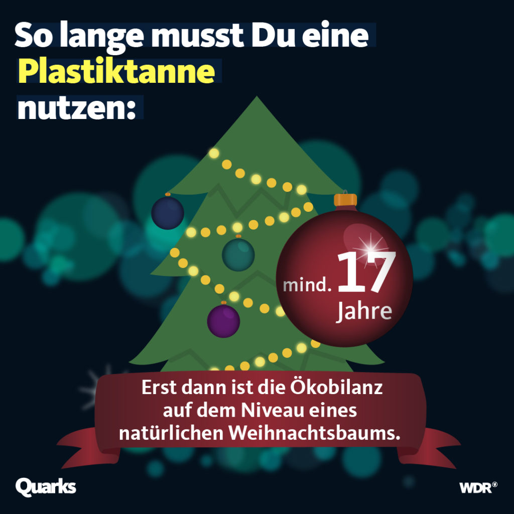 Weihnachtsbaum echte Tannen besser als Plastik quarks.de