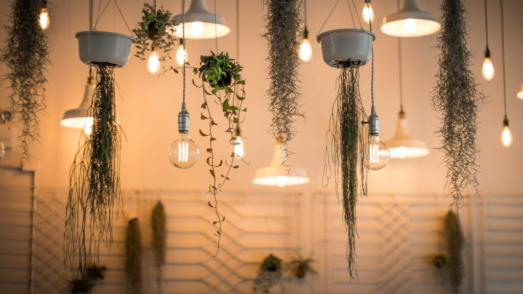 Lampen und Hängepflanzen hängen von der Decke