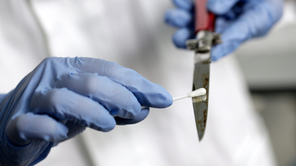 Blutspur auf einem Messer wird mit einem Wattestäbchen von einer Person mit blauen Handschuhen gesichert.