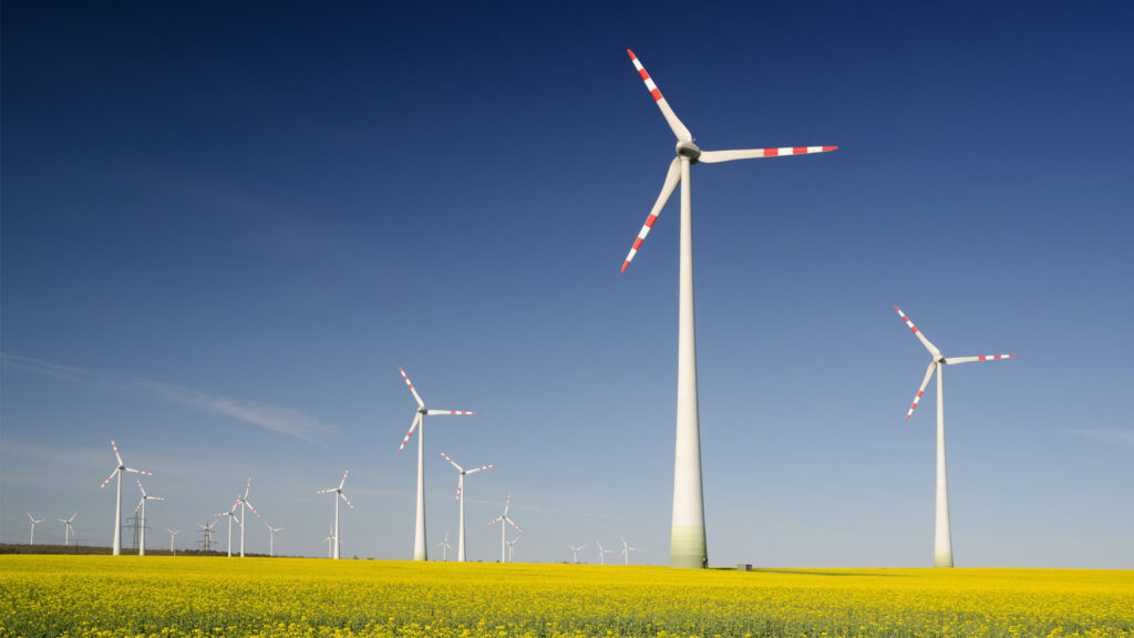 Windräder auf einem Feld