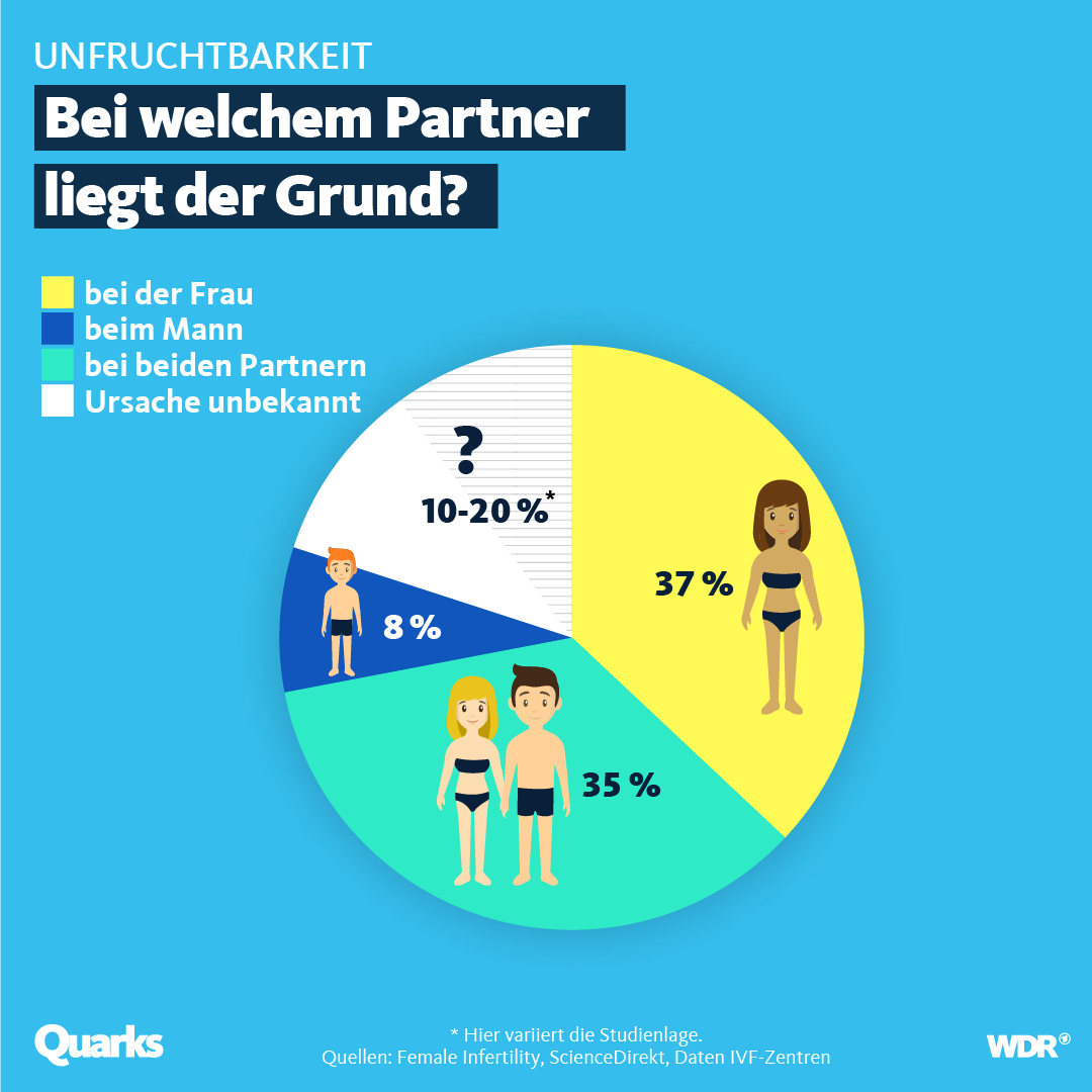 Tortendiagramm zu Unfruchtbarkeit