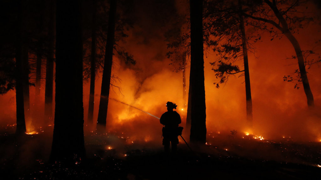 Ein Feuerwehrmann versucht einen Waldbrand zu löschen. Der Himmel ist rot.
