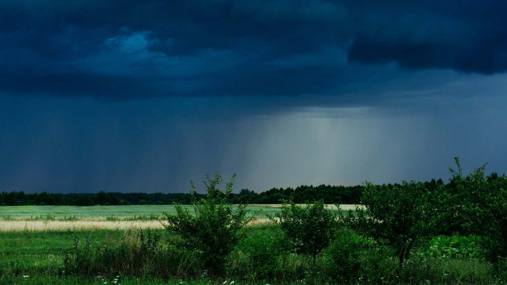 Ein Sommergewitter