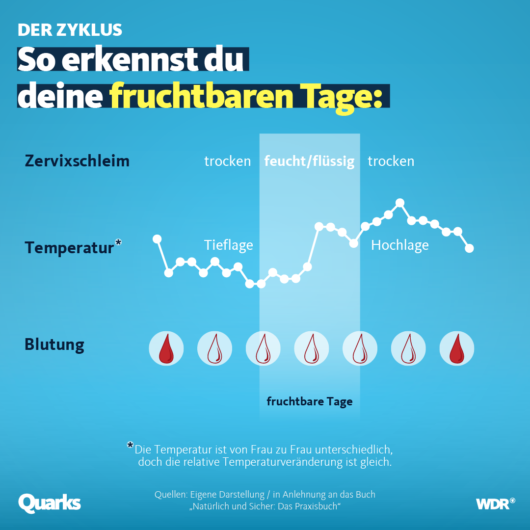 Zyklustracker Grafik