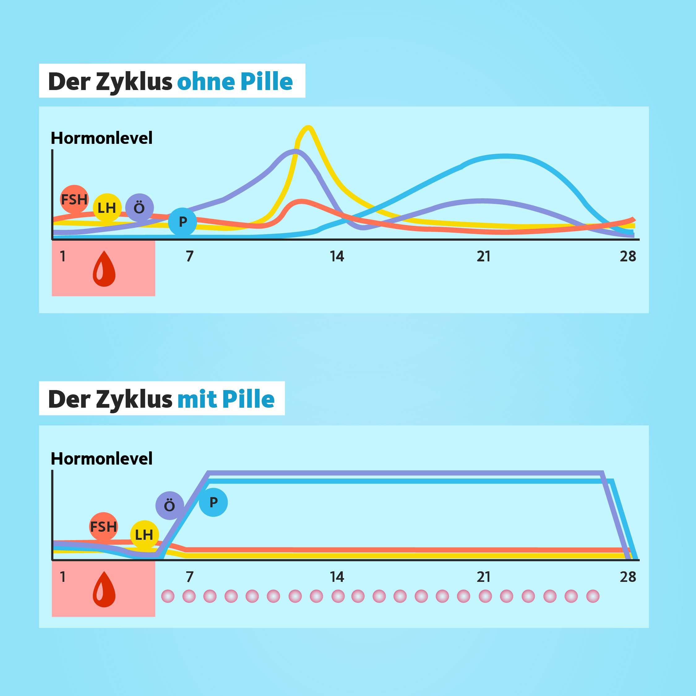 Grafiken, die den Zyklus ohne und mit Pille zeigen. Im Zyklus ohne Pille schwanken die vier Zyklushormone stark, im Zyklus mit Pille sind sie sehr konstant.