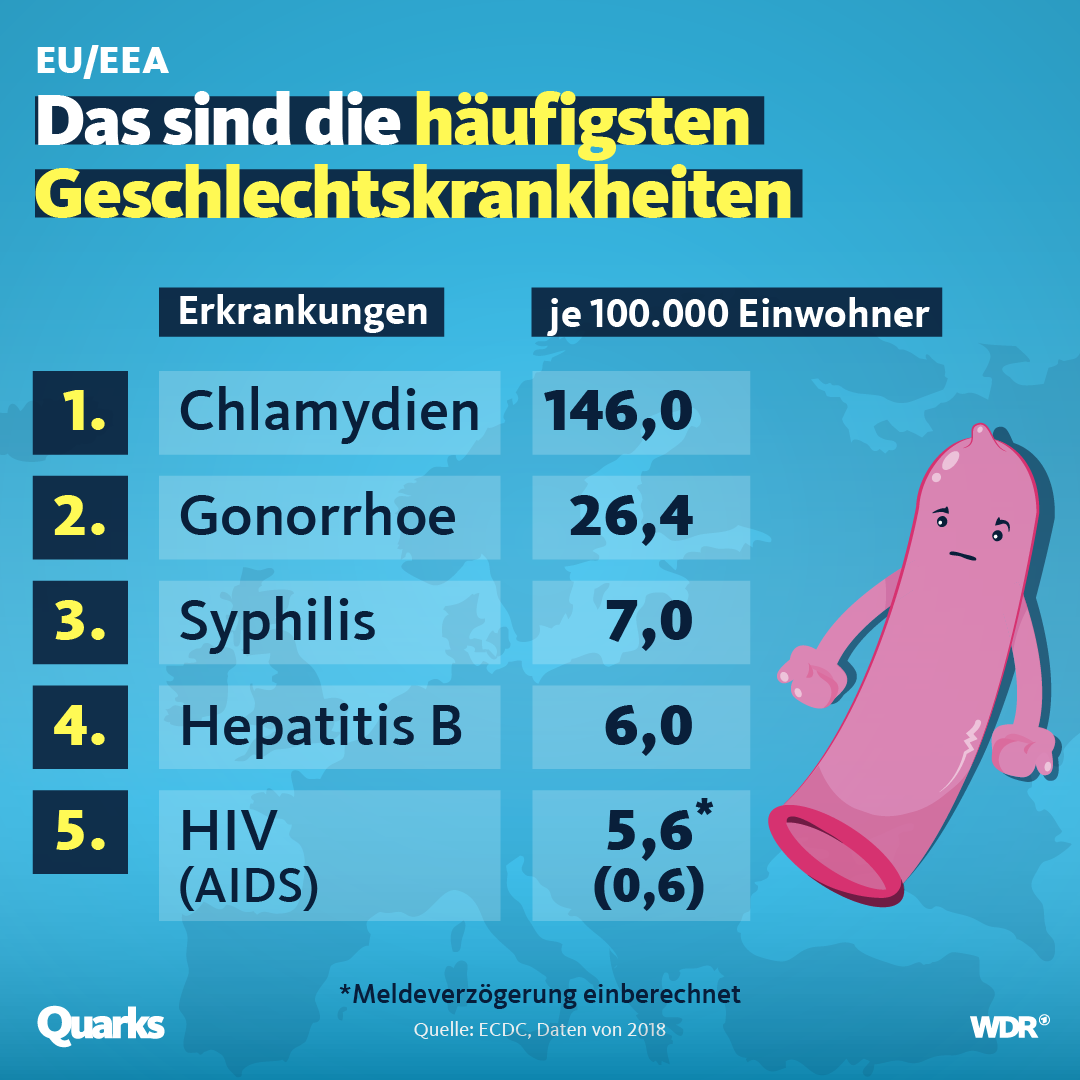 Durchschnitt deutschland penis Statistiken zum