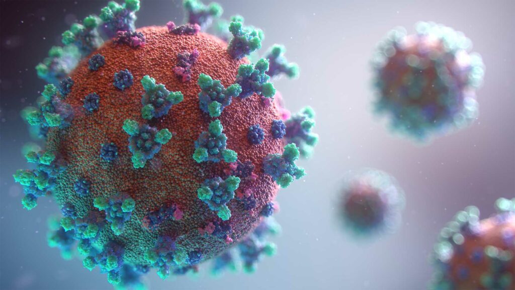 Coronavirus unter dem Mikroskop.