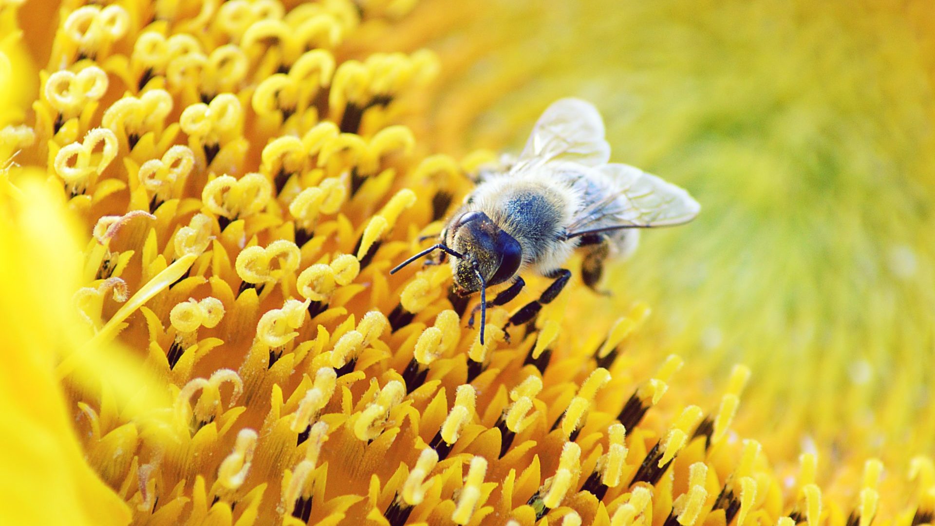 So Baust Du Dein Eigenes Insektenhotel Quarks De